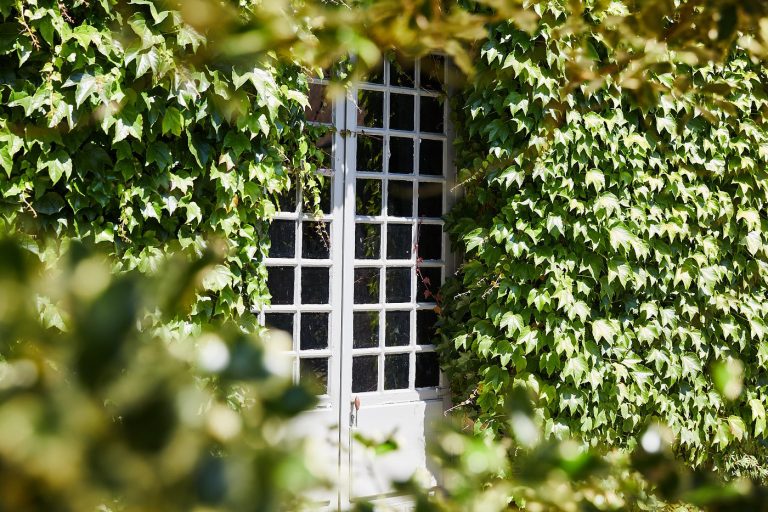 Fenêtre d’un château couvert de lierre, cadre du séminaire résidentiel du comité de direction de Dior