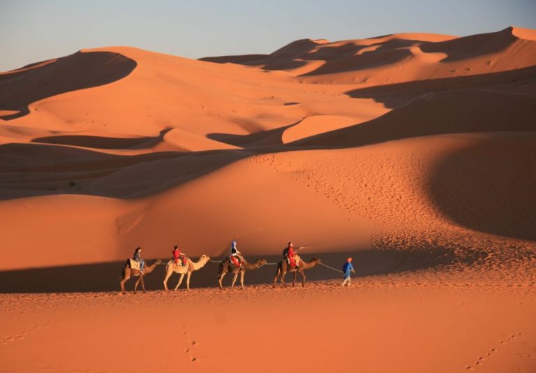 Caravane de dromadaires et leurs cavaliers dans les dunes orangées d’un désert, menée par un guide