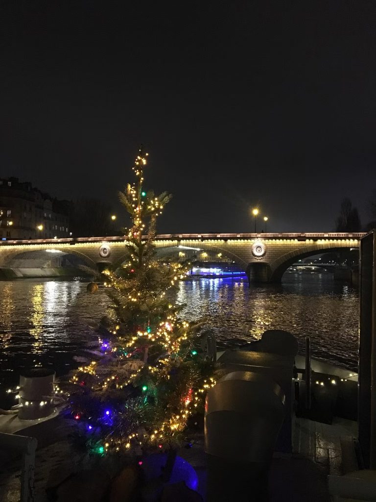 Sapin illuminé au bord de la Seine, le soir, face à un pont éclairé, soirée SNCF organisée par Weevup
