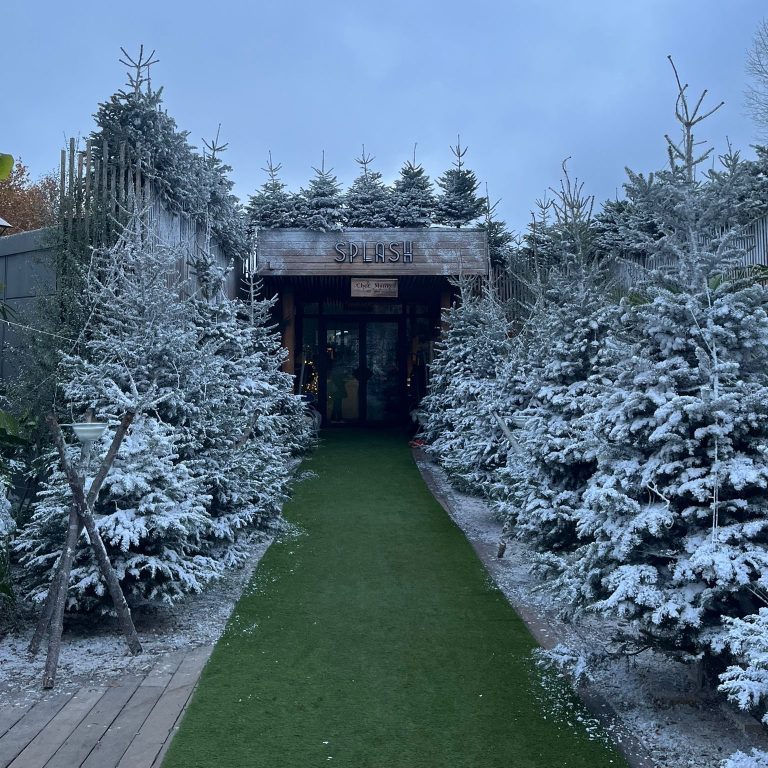 Allée bordée de sapins enneigés menant à l’entrée du lieu, décoré en village d’hiver pour le petit déjeuner de fin d’année de Dior