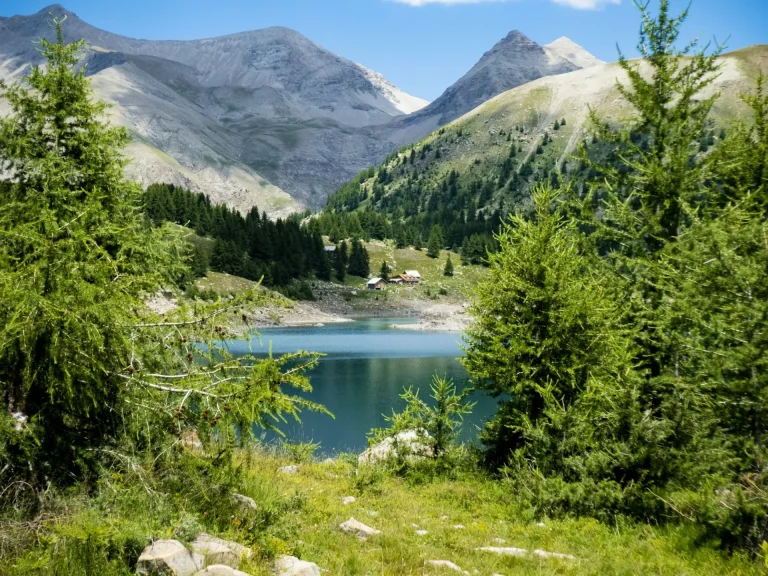 Un lac de montagne bordé de mélèzes, au pied des sommets du parc national du Mercantour