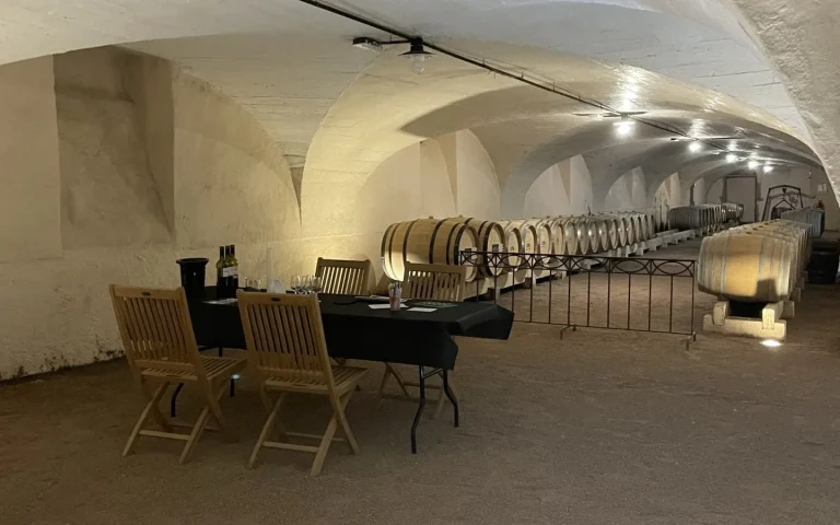 Cave voûtée et rangées de barriques du Château de Pizay, dans le Beaujolais, pendant le séminaire Pacific et Général