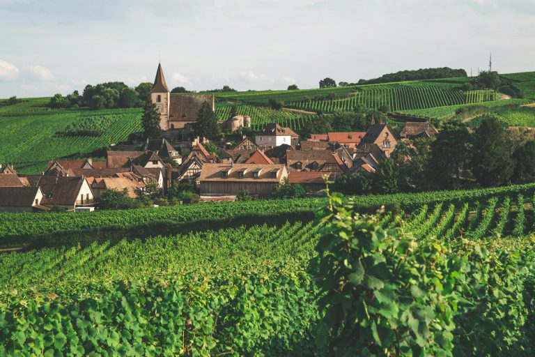 Un village entouré de vignes en Alsace