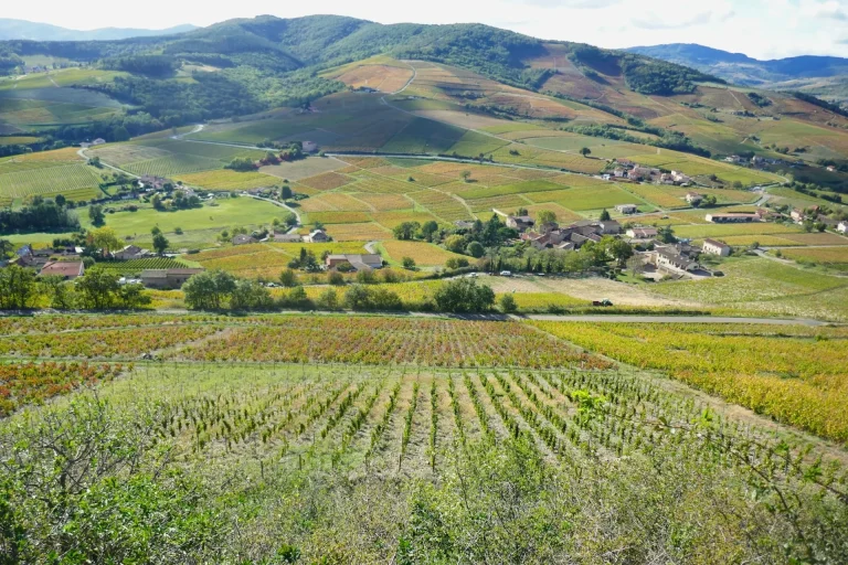 Les vignes du cru Brouilly et un hameau au creux des collines, à Odenas, dans le Beaujolais