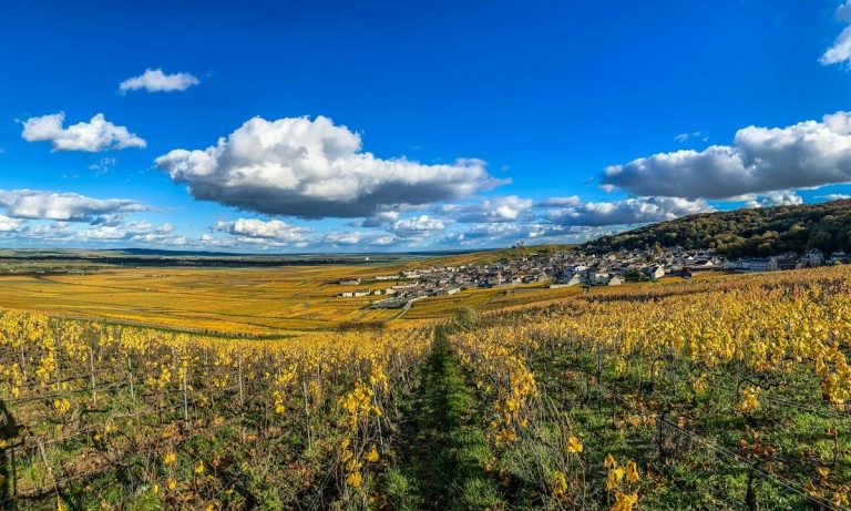 Rangées de vignes dorées à l’automne menant à un village du vignoble de Champagne