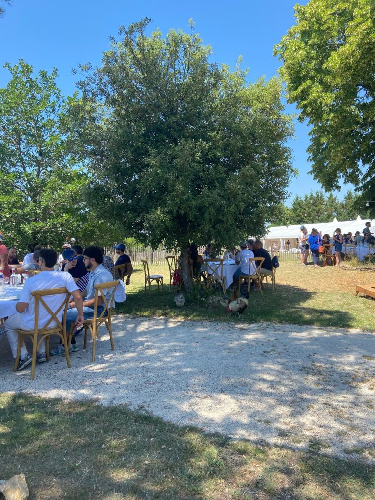 Déjeuner à l’ombre des arbres, chapiteau en arrière-plan, pendant le séminaire HelloAsso au Domaine de Saint Amand