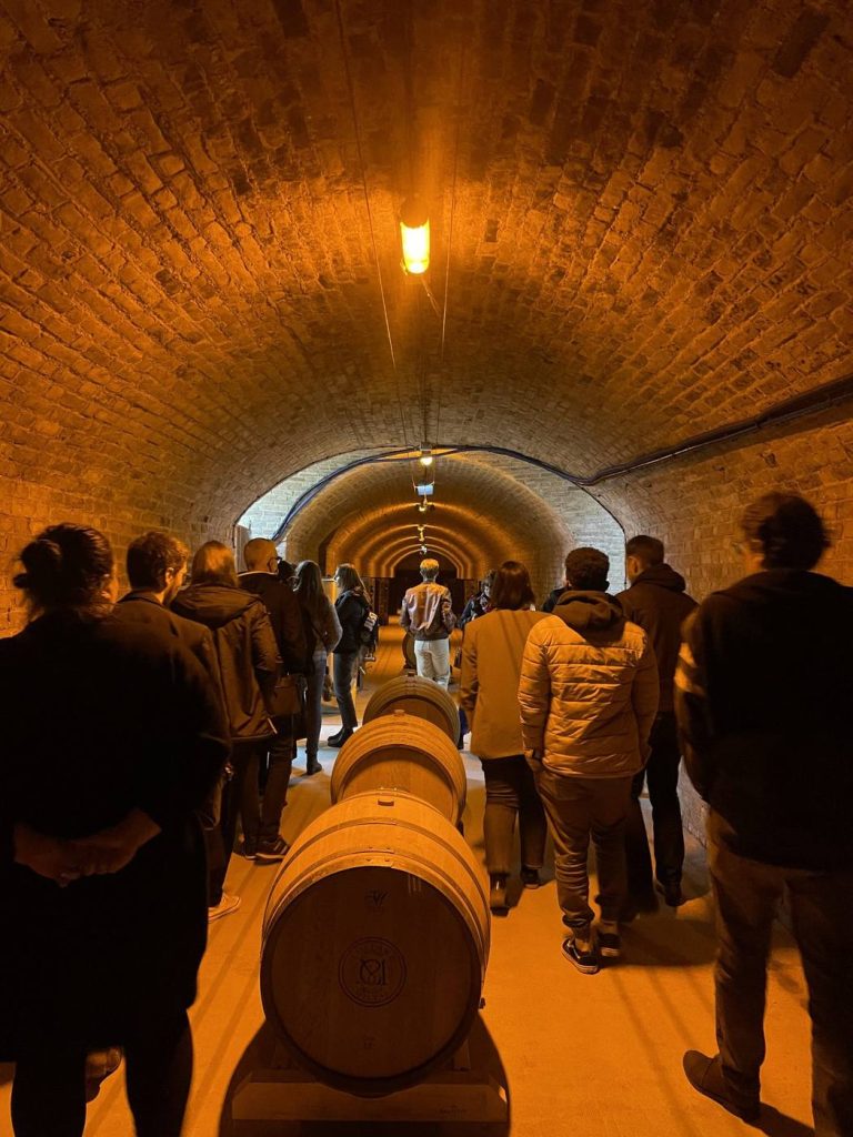 Swiss Life retreat participants visiting a vaulted cellar lined with barrels