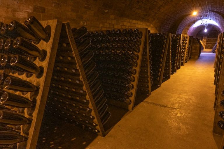 Bouteilles de champagne alignées dans une cave, à Rilly-la-Montagne, près de Reims