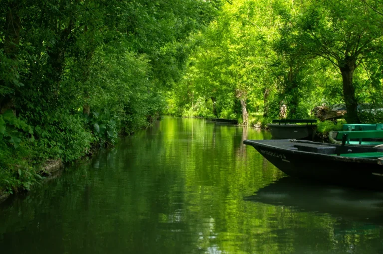 Une barque amarrée sur un canal ombragé du Marais poitevin, la « Venise verte », à Coulon