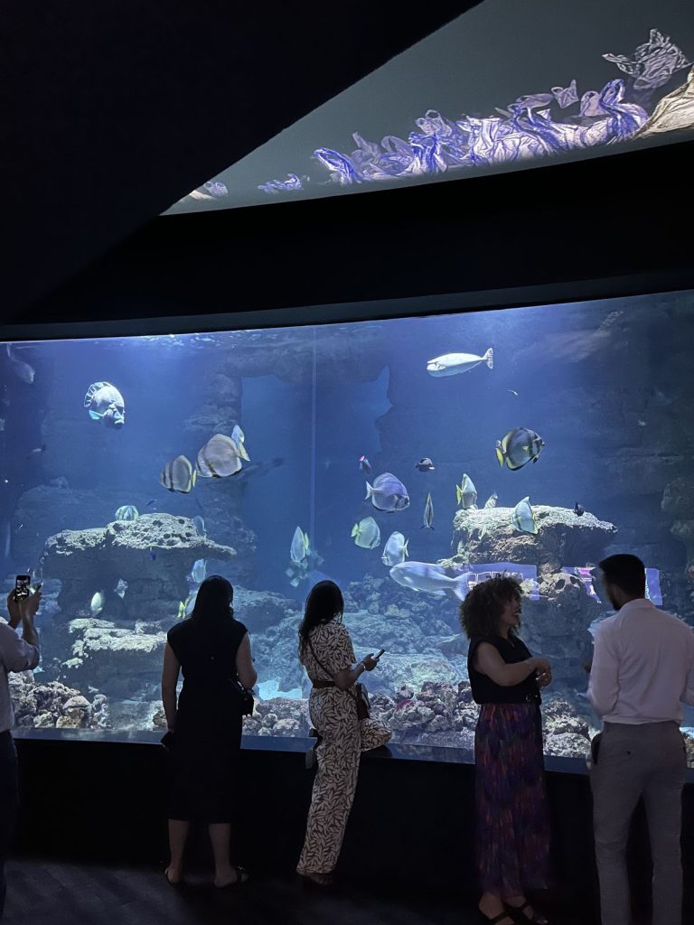 Summer Party KPMG à l’Aquarium de Paris : participants devant un grand bassin de poissons pendant la visite privée de l’Aquarium