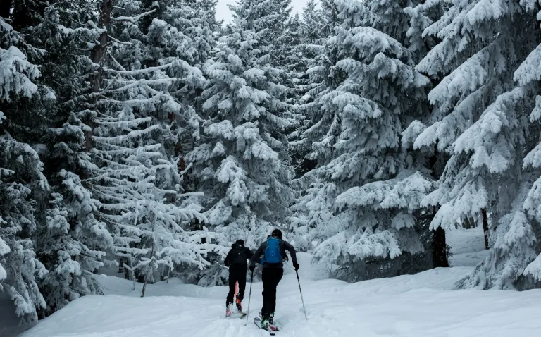Deux skieurs dans une forêt de sapins enneigés, à La Clusaz, dans le massif des Aravis