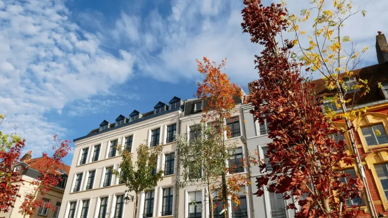 Façades claires et brique flamande derrière des arbres aux couleurs d’automne, dans le centre de Lille