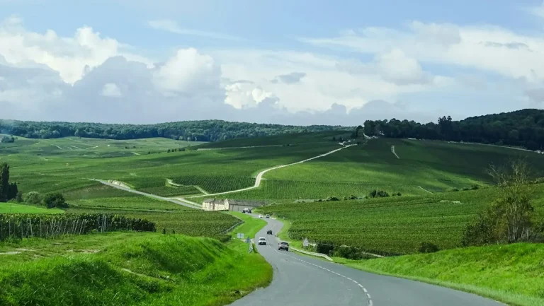 Route de campagne entre les coteaux de vignes et les bois de la Marne, au printemps