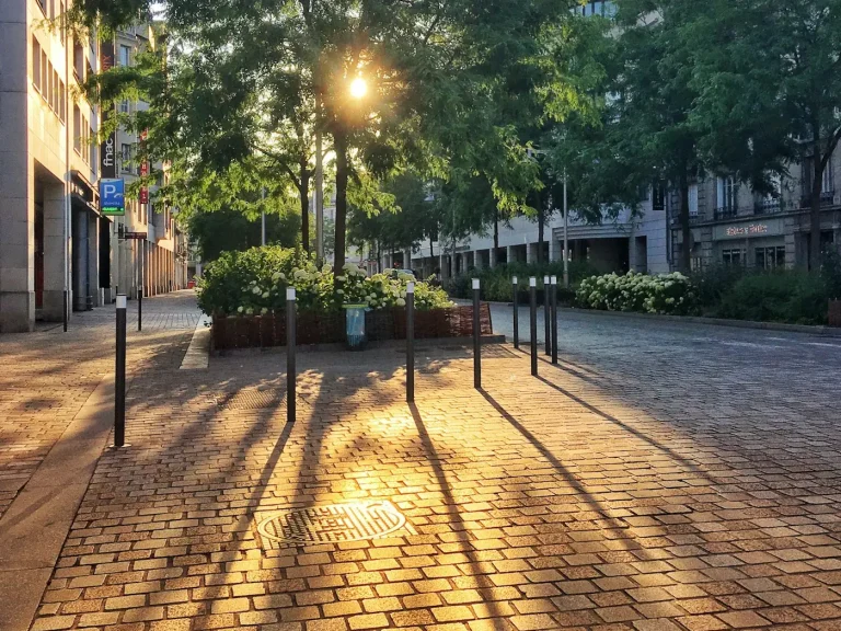 Rue pavée et arbres du centre de Reims, traversés par le soleil levant