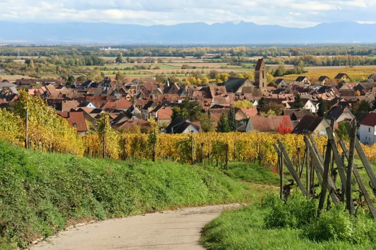 Le village d’Eguisheim au pied des vignes aux couleurs d’automne, sur la route des vins d’Alsace
