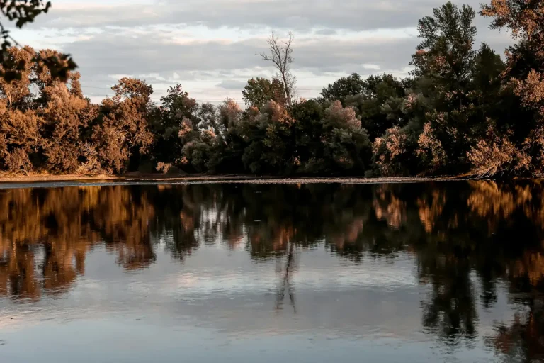Arbres aux couleurs d’automne au bord d’un plan d’eau, à Toulouse