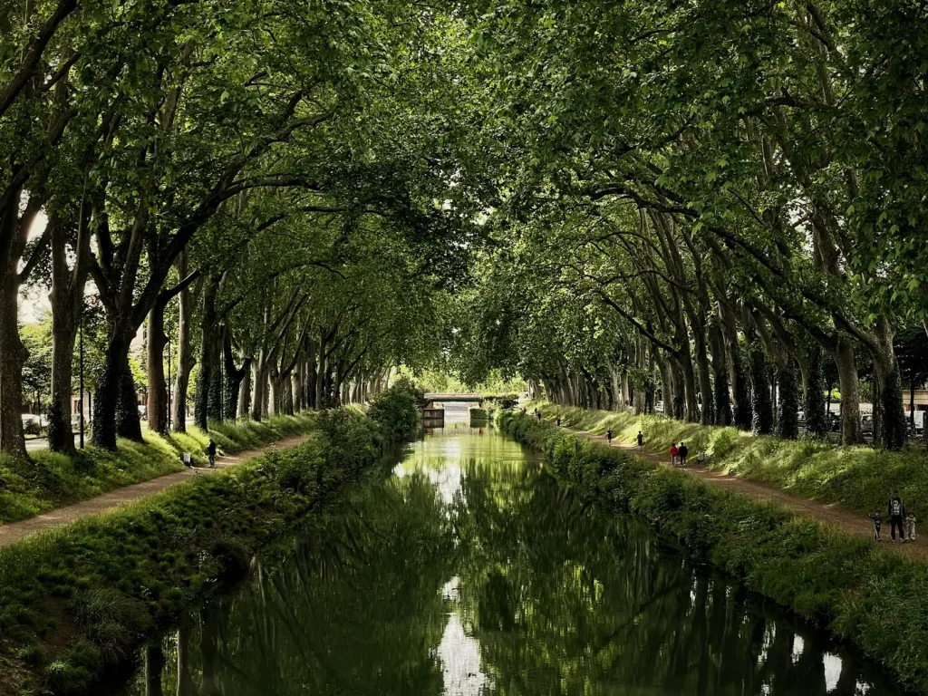 Le canal de Brienne, à Toulouse, entre deux allées de grands platanes